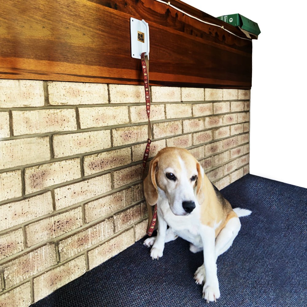 Park a Bark - Pet Leash Wall Hook - Pacifrica - PBHOOKR
