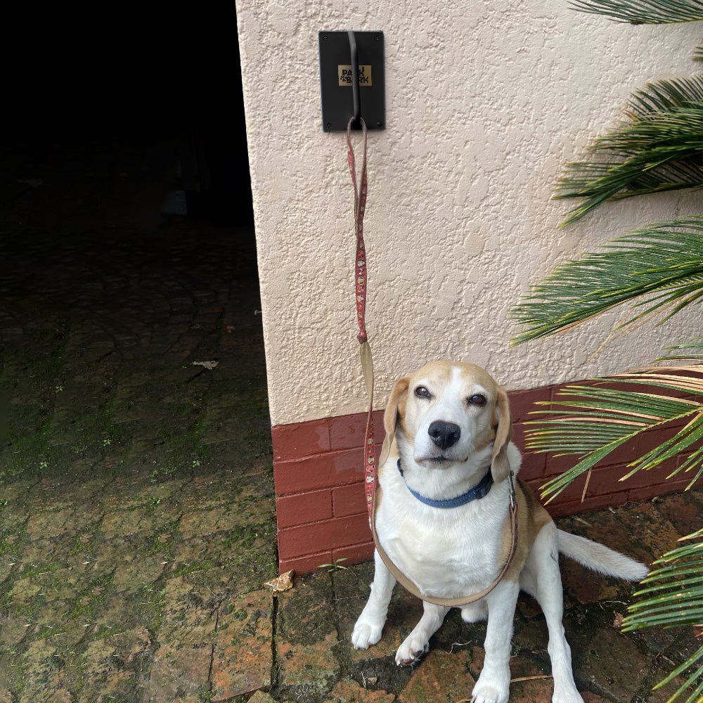 Park a Bark - Pet Leash Wall Hook - Pacifrica - PBHOOKR